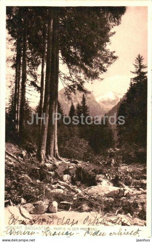 Kurort Badgastein - Partie in der Prossau - mountain landscape - forest - Alps - old postcard - 1918 - Austria - used - JH Postcards