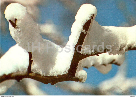 New Year greeting card - Winter forets - branch - 1 - 1984 - Estonia USSR - used - JH Postcards