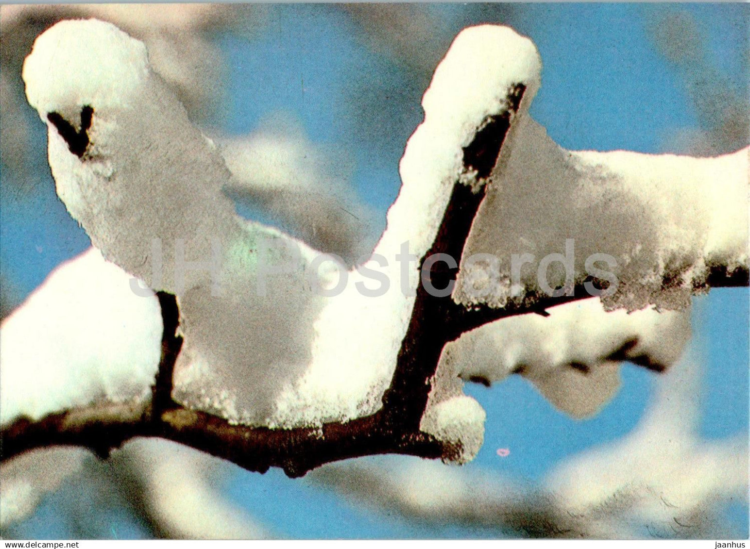 New Year greeting card - Winter forets - branch - 2 - 1984 - Estonia USSR - used - JH Postcards