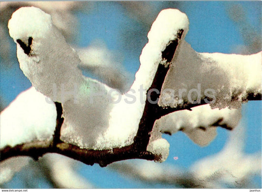 New Year greeting card - Winter forets - branch - 2 - 1984 - Estonia USSR - used - JH Postcards