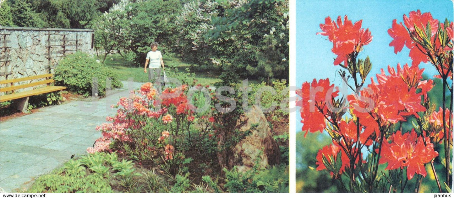 Riga - Japanese rhododendron - University of Latvia Botanical Garden - flowers - 1986 - Latvia - USSR - unused - JH Postcards