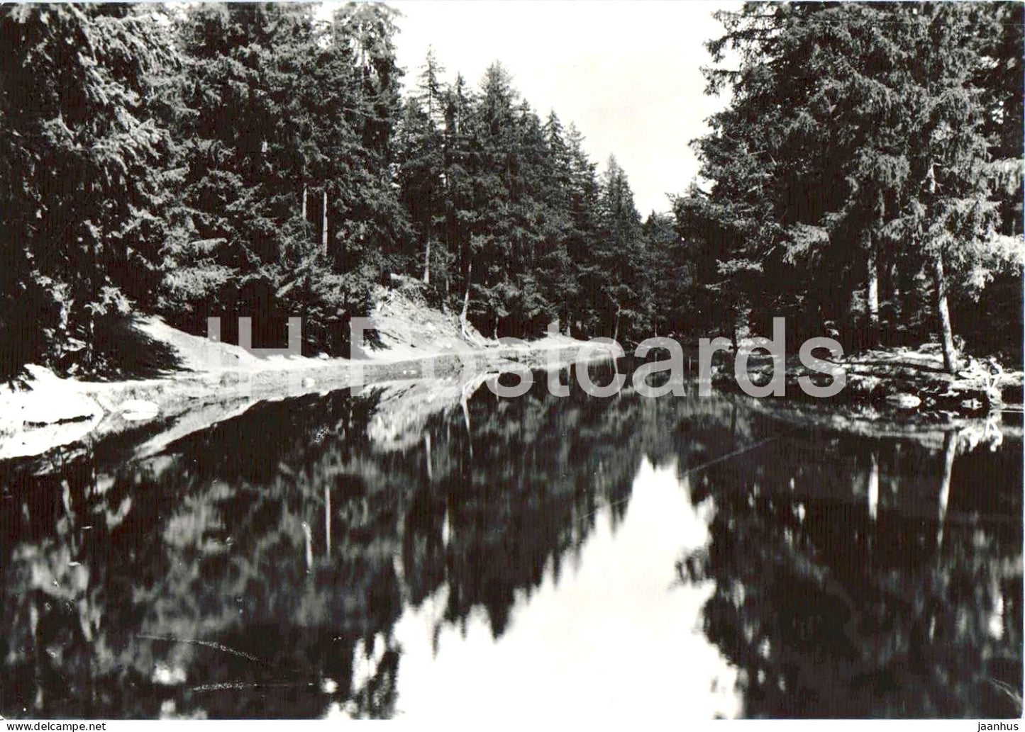 Merano - Avelengo - Il laghetto - Merano - Hafling - The Small Lake - 10221 - old postcard - Italy - unused - JH Postcards
