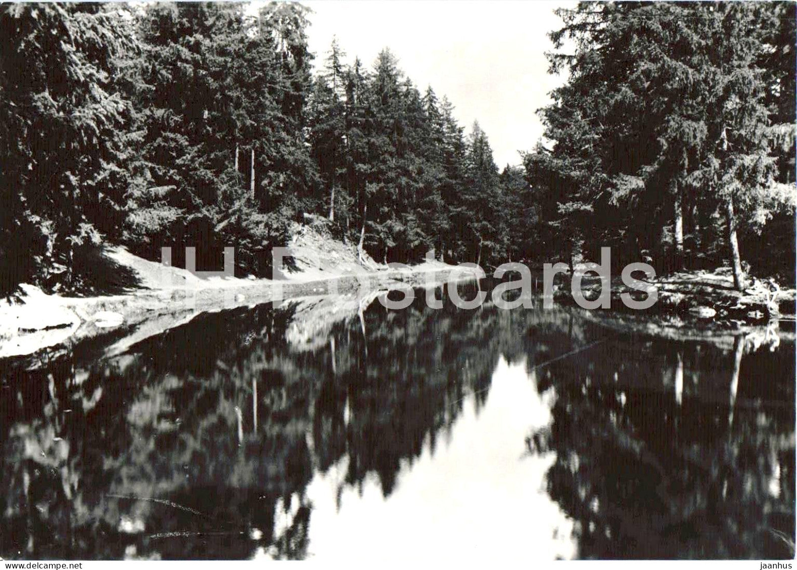 Merano - Avelengo - Il laghetto - Merano - Hafling - The Small Lake - 10221 - old postcard - Italy - unused - JH Postcards