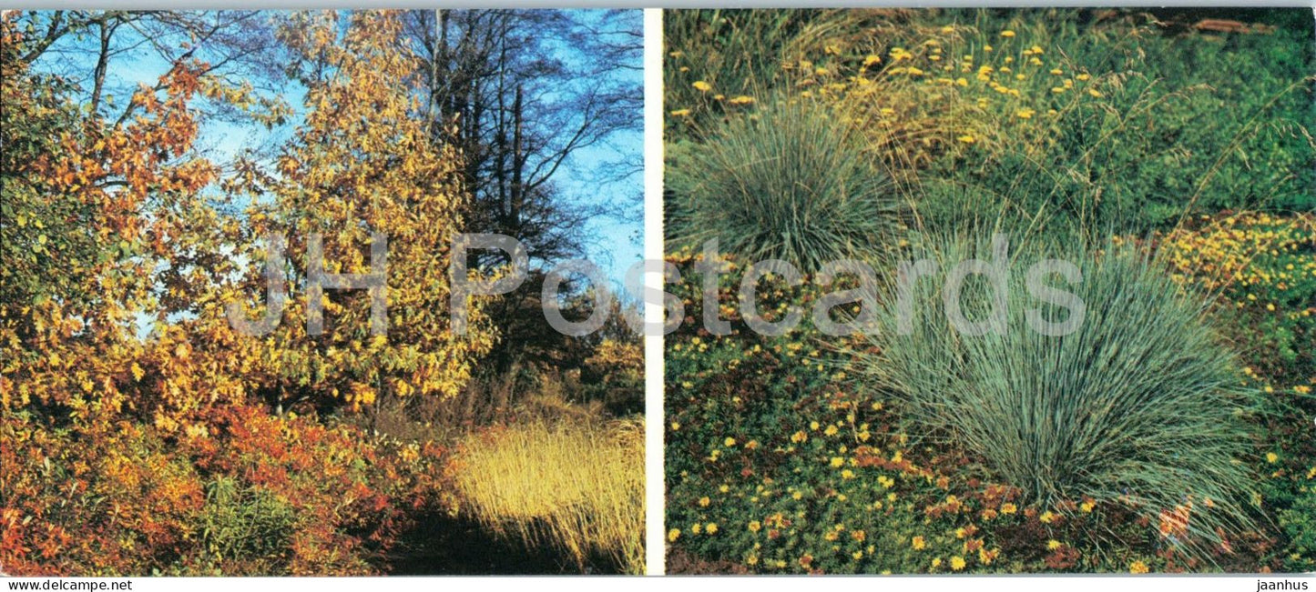 Riga - Decorative ecological autumn display - botanical garden - plants - 1986 - Latvia - USSR - unused - JH Postcards