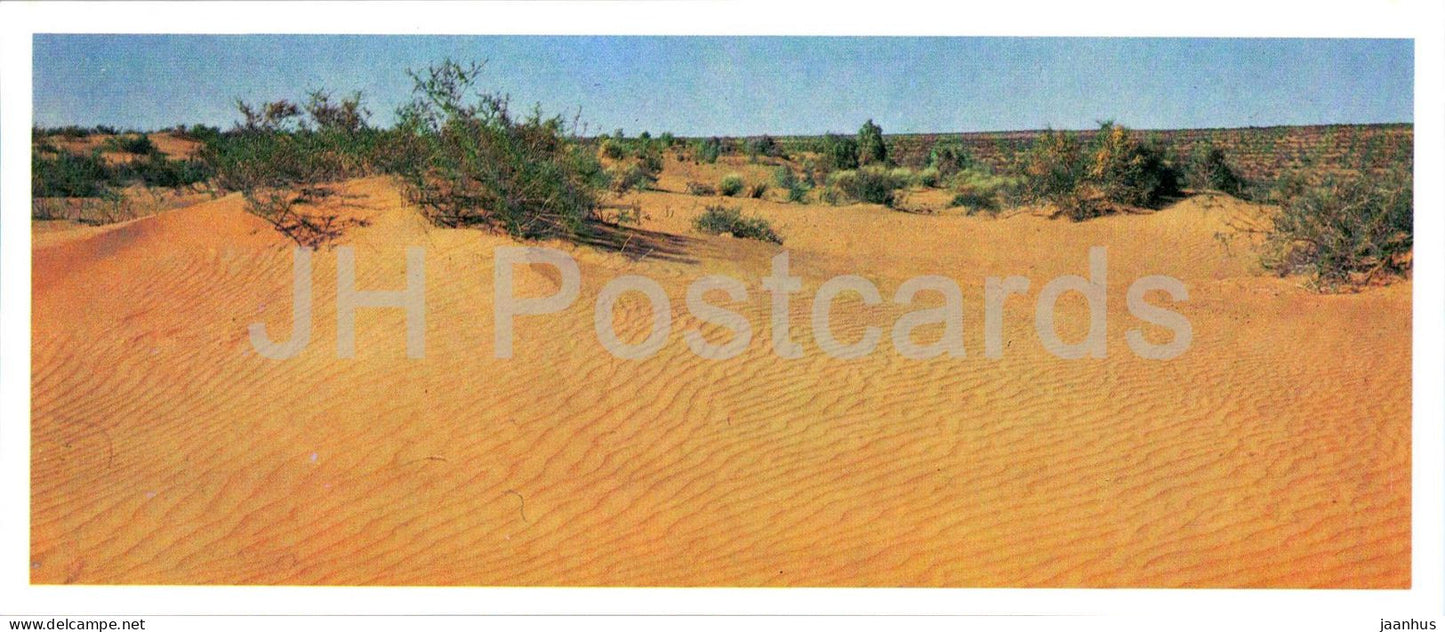 Kyzylkum Nature Reserve - Kyzylkum Desert - 1988 - USSR Uzbekistan - unused - JH Postcards