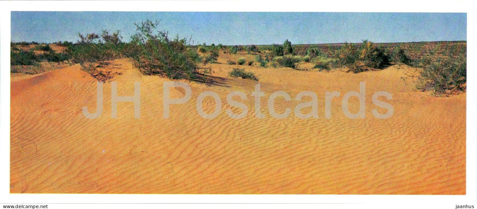 Kyzylkum Nature Reserve - Kyzylkum Desert - 1988 - USSR Uzbekistan - unused - JH Postcards