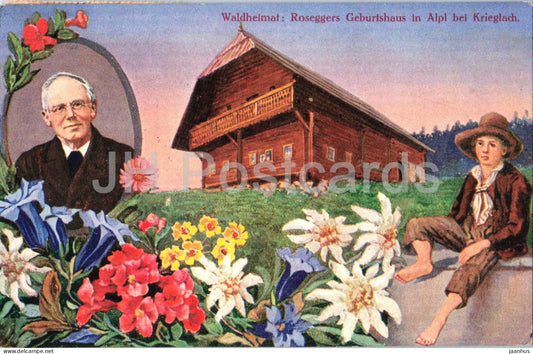 Waldheimat - Roseggers Geburtshaus in Alpl bei Krieglach - 524/6 - old postcard - 1919 - Austria - used - JH Postcards