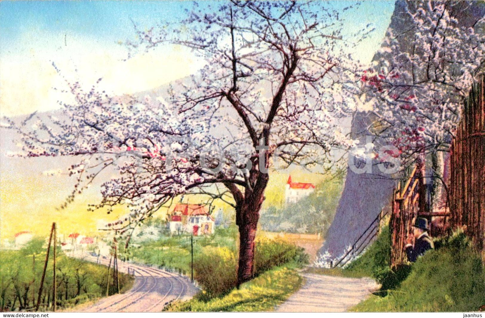 Bluhende Baume am Bahndamm - Blooming Trees by the Railway - Serie 62 - 3036 - old postcard - 1915 - Switzerland - used - JH Postcards