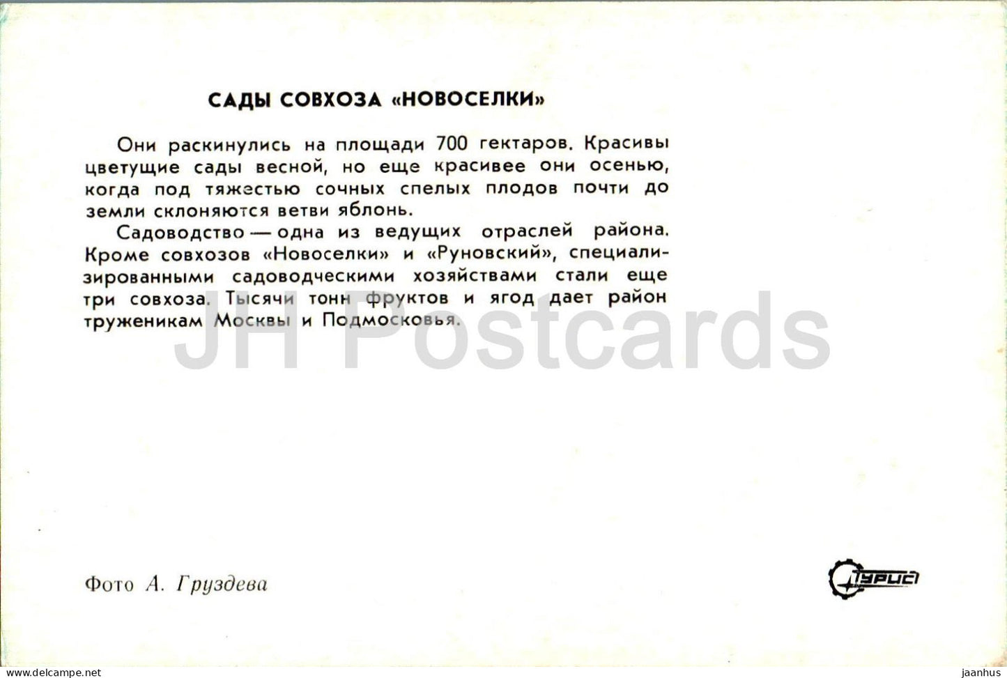 Kashira - state farm gardens Novoselki - Sovkhoz - apple harvest - Turist - 1976 - Russia USSR - unused