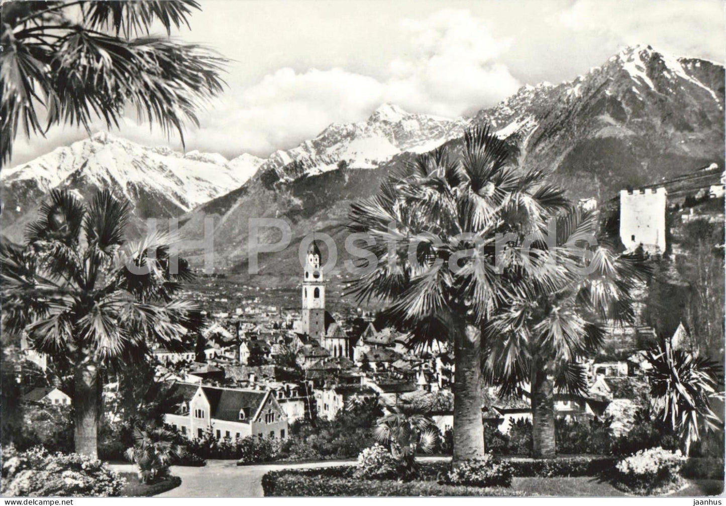 Merano - Meran panorama - town view - mountains - palm trees - 33301 - 1970 - Italy - used - JH Postcards