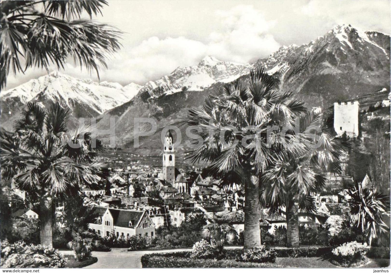 Merano - Meran panorama - town view - mountains - palm trees - 33301 - 1970 - Italy - used - JH Postcards