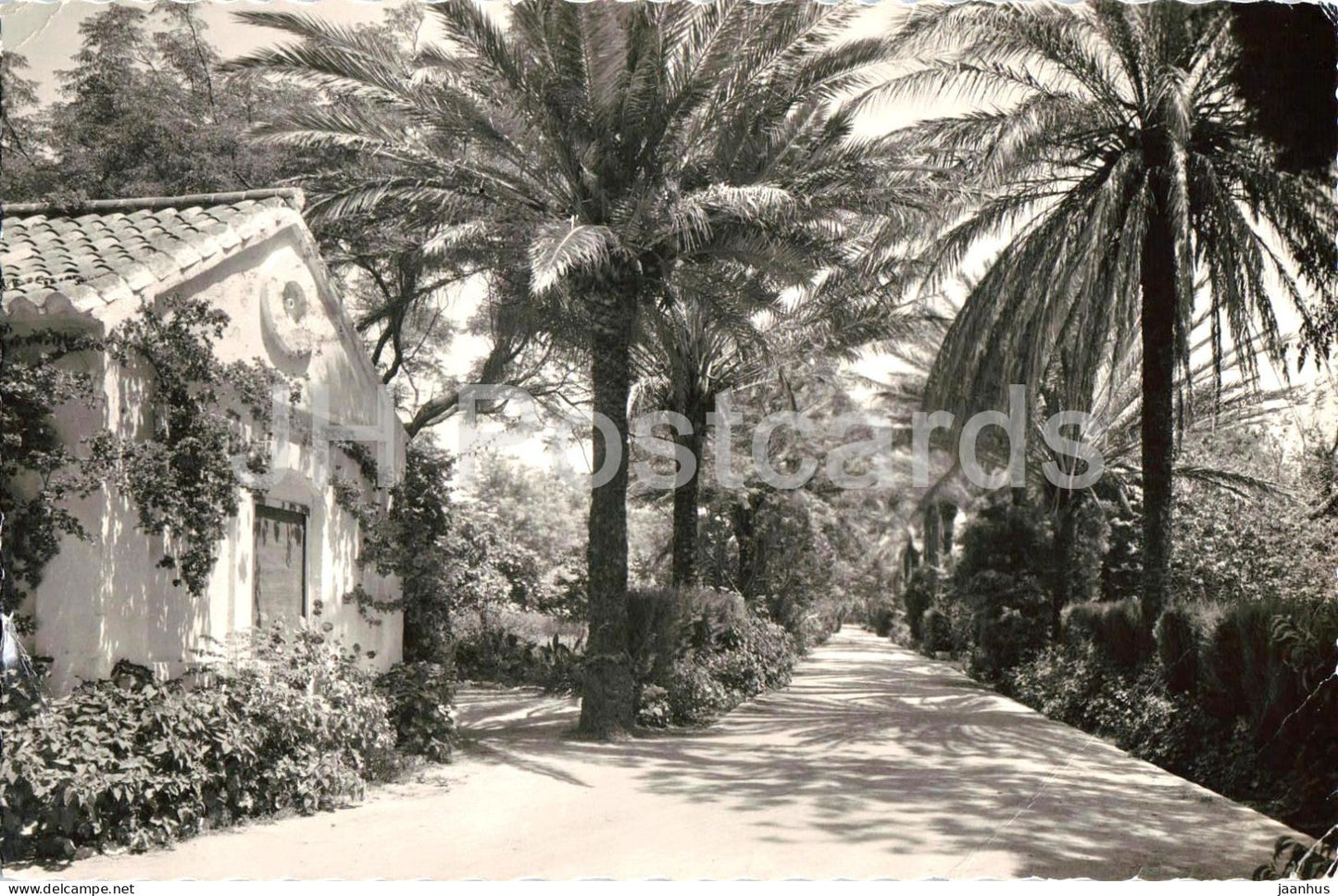 Torremolinos - Entrada - La Roca - Hotel entrance - palm garden Andalusia - 13 - 1969 - Spain - used - JH Postcards