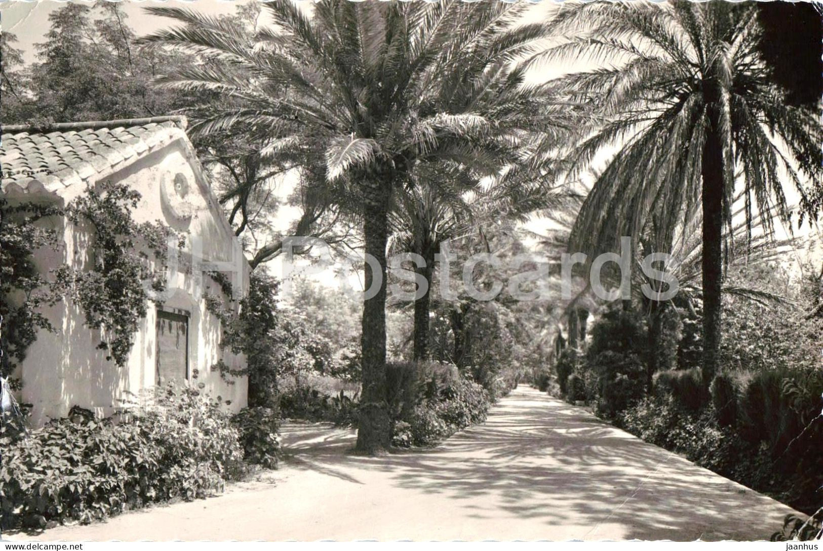 Torremolinos - Entrada - La Roca - Hotel entrance - palm garden Andalusia - 13 - 1969 - Spain - used - JH Postcards