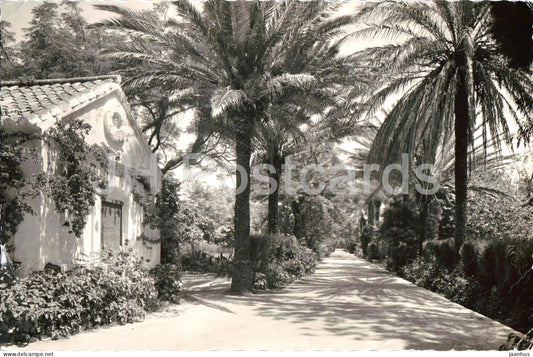 Torremolinos - Entrada - La Roca - Hotel entrance - palm garden Andalusia - 13 - 1969 - Spain - used - JH Postcards