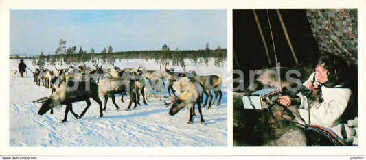 Khanty-Mansi Region - reindeer herder - radio - animals - 1980 - Russia - USSR - unused - JH Postcards