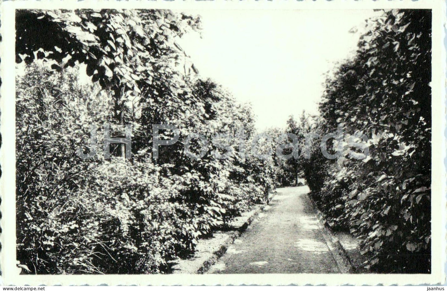 Herk-de-Stad Lindenlaan - Sint-Ursula Instituut - Religieuzen Ursulinen - garden path - old postcard - Belgium - unused - JH Postcards