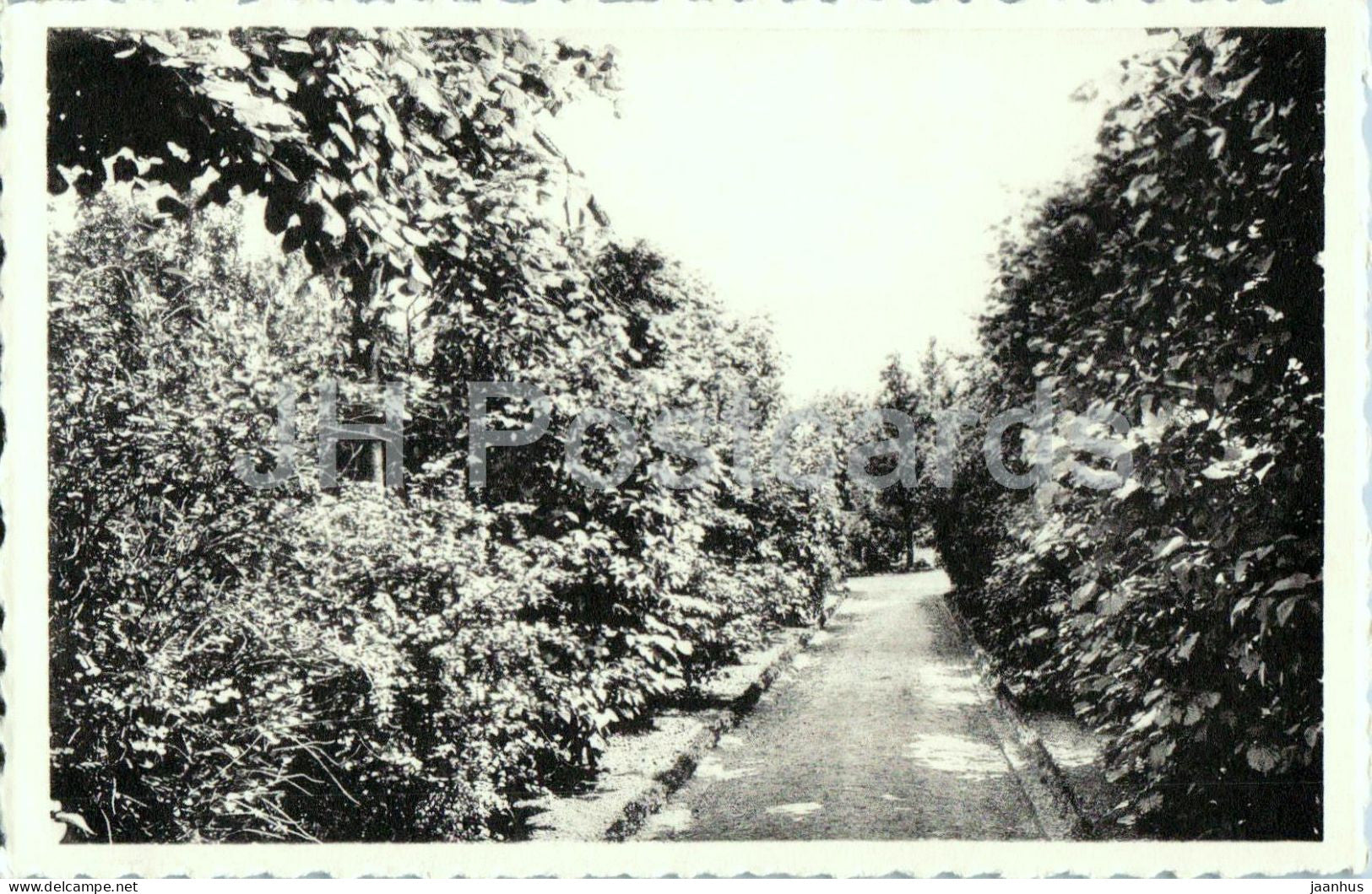 Herk-de-Stad Lindenlaan - Sint-Ursula Instituut - Religieuzen Ursulinen - garden path - old postcard - Belgium - unused - JH Postcards