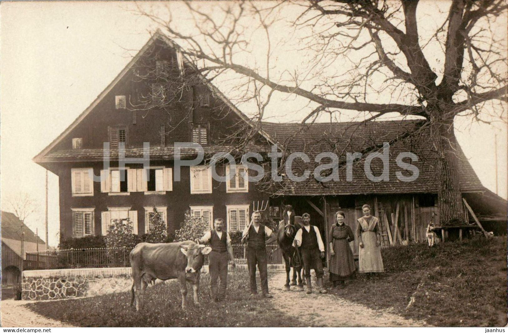 Dietwil AG ? - Bauernhaus - farmhouse - cow - horse - animals - photo - old postcard - Switzerland - unused - JH Postcards