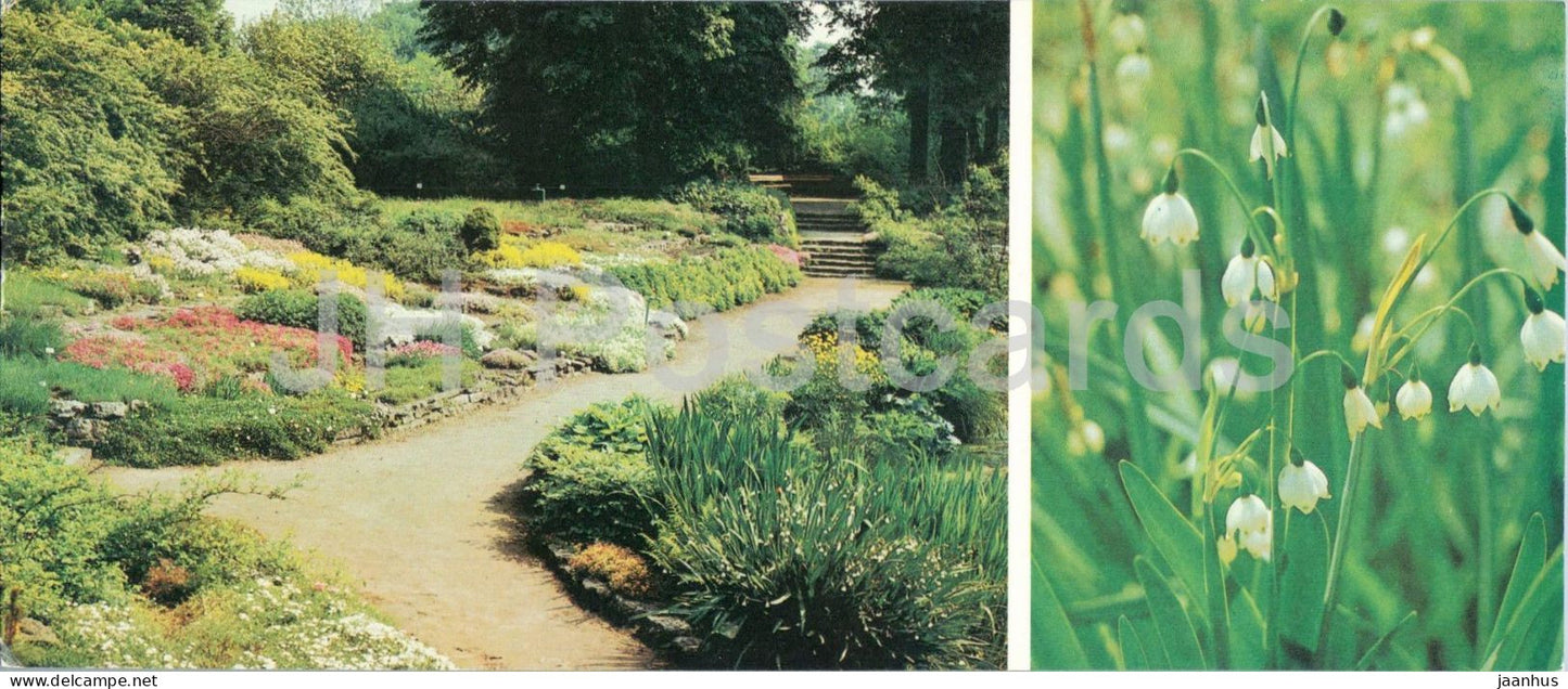 Riga - Rock garden with summer snowflake - botanical garden - landscape - flowers - 1986 - Latvia - USSR - unused - JH Postcards