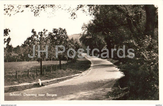 Schoorl - Duinweg naar Bergen - road to Bergen - road - trees - old postcard - 1949 - Netherlands - used - JH Postcards