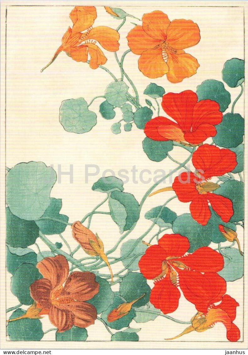 color woodcut by Konan Tanigami - Great Nasturtium - Grose Kapuzinerkresse - flowers - Japanese art - Germany - unused - JH Postcards