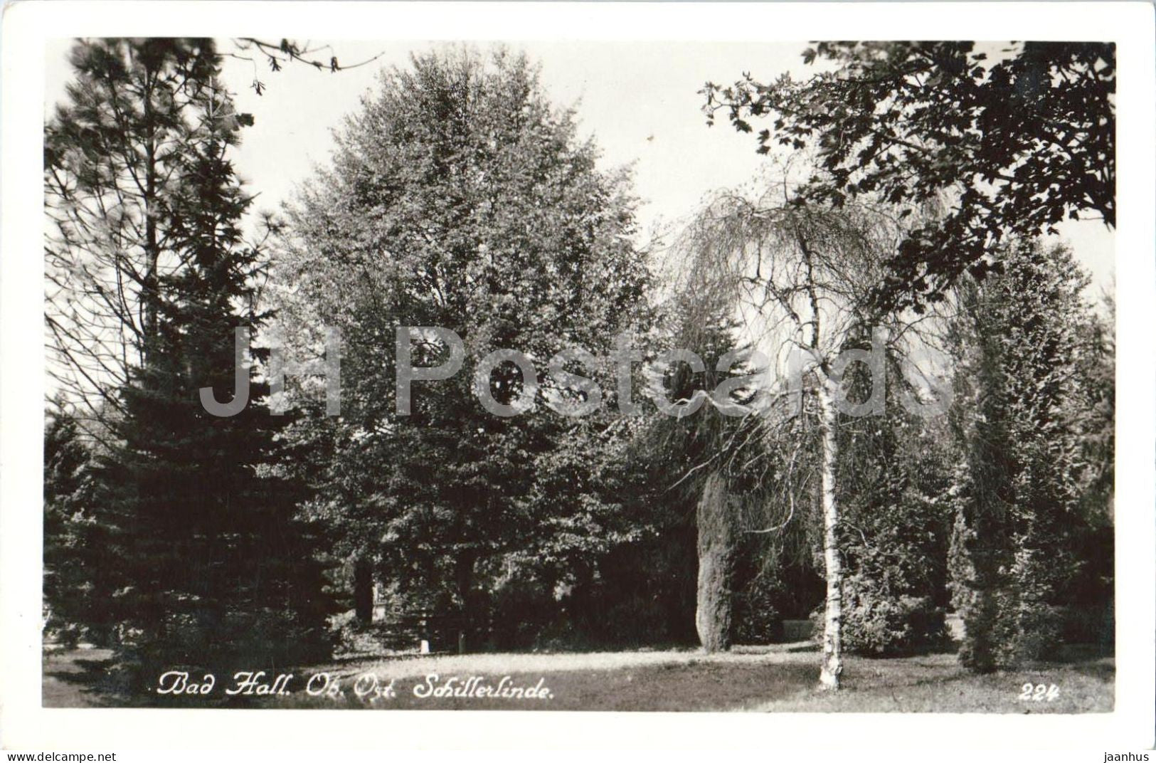 Bad Hall - Schillerlinde - 224 - old postcard - 1932 - Austria - used - JH Postcards