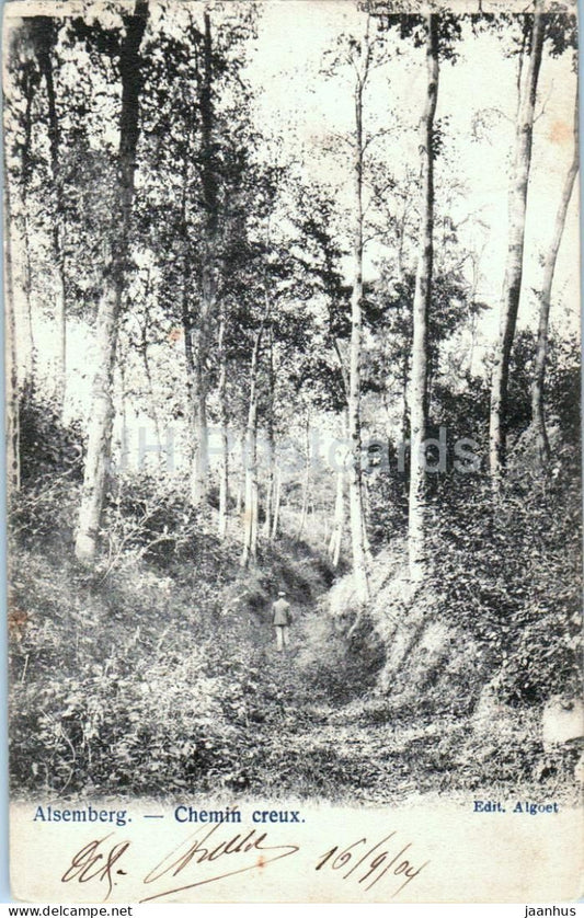 Alsemberg - Chemin creux - Hollow road - forest path - old postcard - 1904 - Belgium - used - JH Postcards
