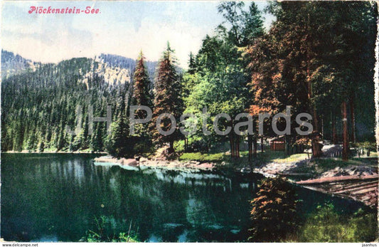 Plockenstein See - Lake - Forest - old postcard - 1919 - Austria - used - JH Postcards