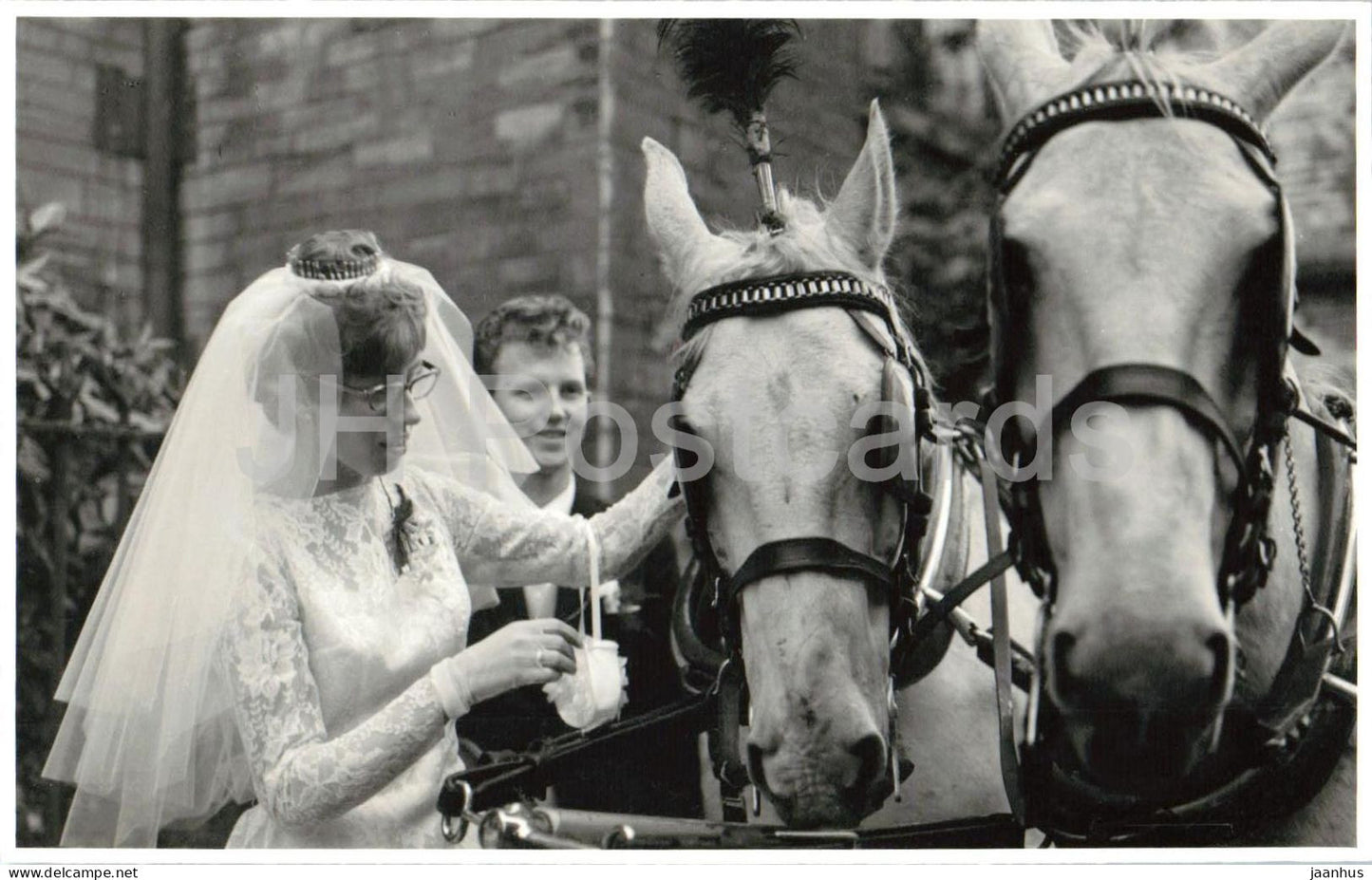 Wedding scene - horse carriage - bride and groom - real photo postcard - 1950s - Netherlands - unused - JH Postcards