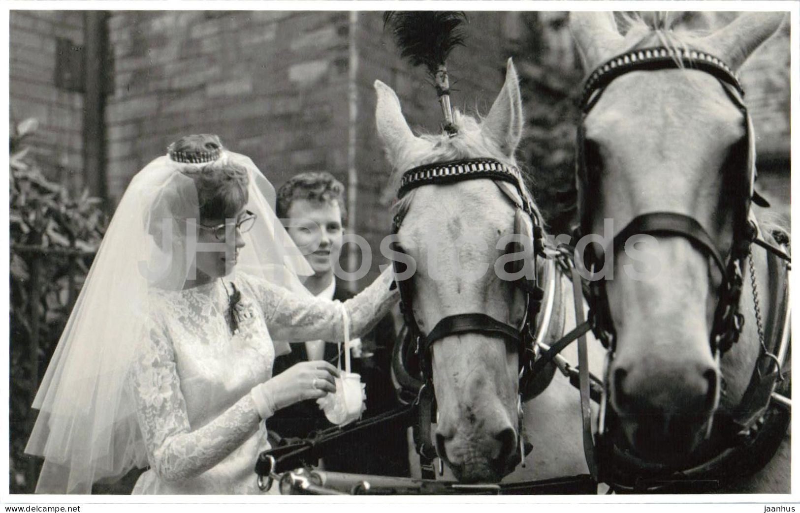 Wedding scene - horse carriage - bride and groom - real photo postcard - 1950s - Netherlands - unused - JH Postcards