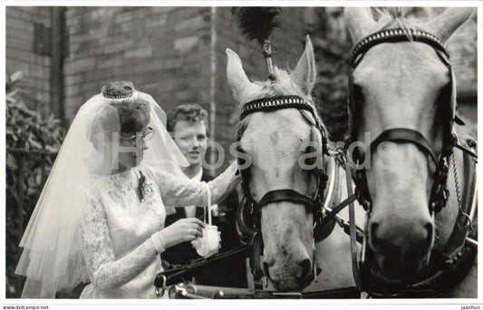 Wedding scene - horse carriage - bride and groom - real photo postcard - 1950s - Netherlands - unused - JH Postcards
