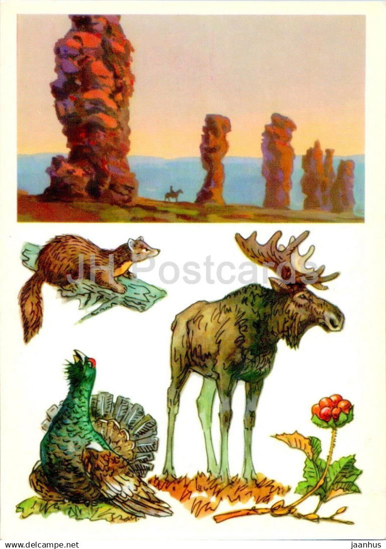 USSR Nature reserves - Pechora-Ilych Nature Reserve - elk - capercaillie - marten - 1977 - Russia USSR - unused - JH Postcards