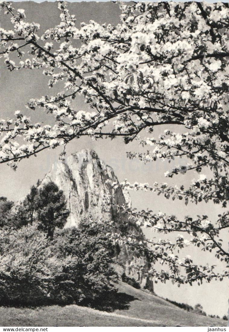 Drachenwand - Salzkammergut - rock formation - mountains - nature - old postcard - Austria - unused - JH Postcards