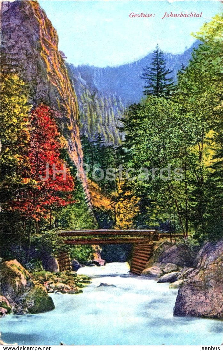 Gesause - Johnsbachtal - wooden bridge - mountain stream - No. 483 - old postcard - 1913 - Austria - used - JH Postcards