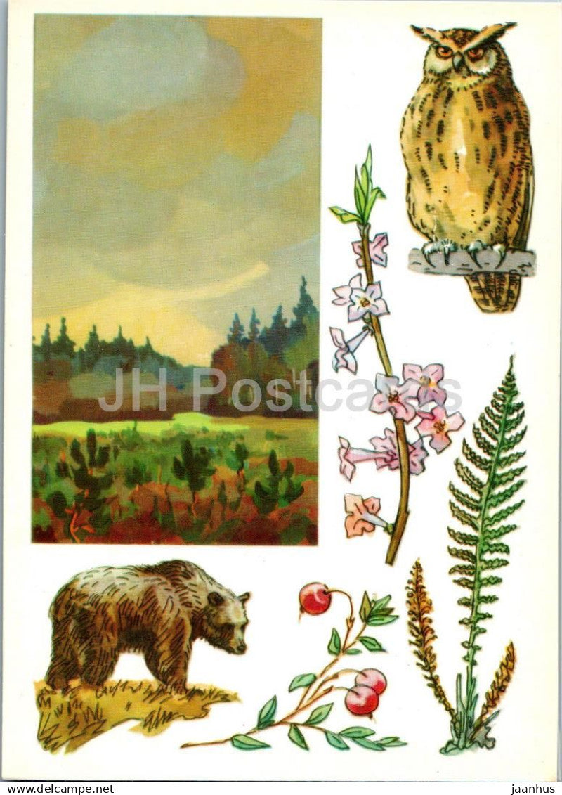 USSR Nature reserves - Central Forest Reserve - owl - bear - Daphne mezereum - birds - 1977 - Russia USSR - unused - JH Postcards