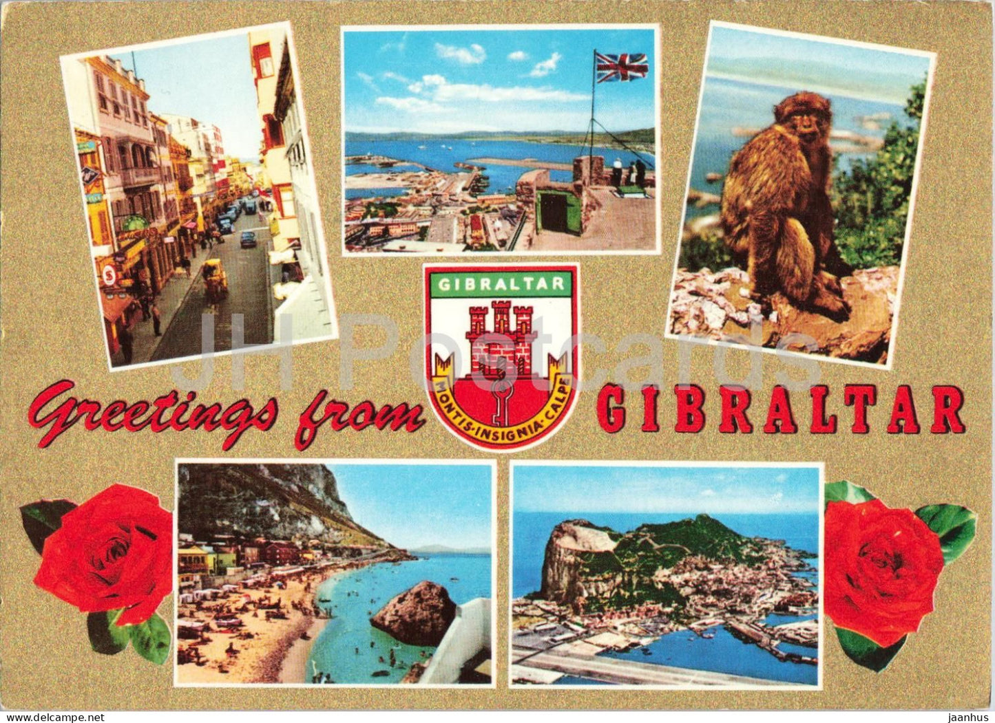 Greetings from Gibraltar - Main Street - harbour - monkey - beach coat of arms - multiview - 988/76 - Gibraltar - unused - JH Postcards