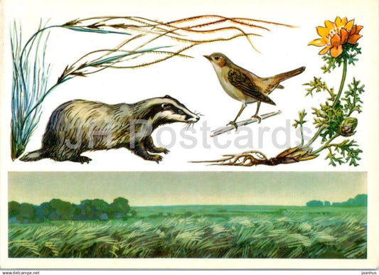 USSR Nature reserves - Central Black Earth Nature Reserve - badger - nightingale - birds - 1977 - Russia USSR - unused - JH Postcards