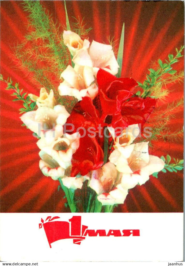 1st May Greeting Card - Gladiolus - flowers - postal stationery - 1972 - Russia USSR - used - JH Postcards