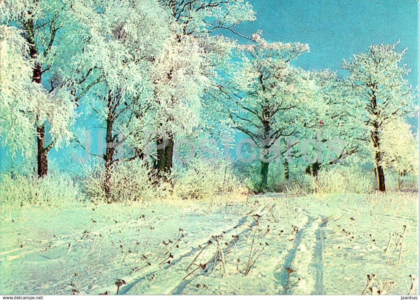 New Year Greeting Card - Winter Landscape - view - 1979 - Estonia USSR - used - JH Postcards