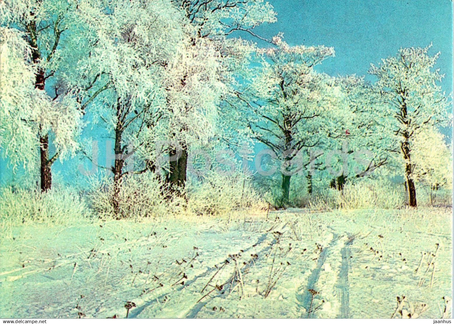 New Year Greeting Card - Winter Landscape - view - 1979 - Estonia USSR - used - JH Postcards