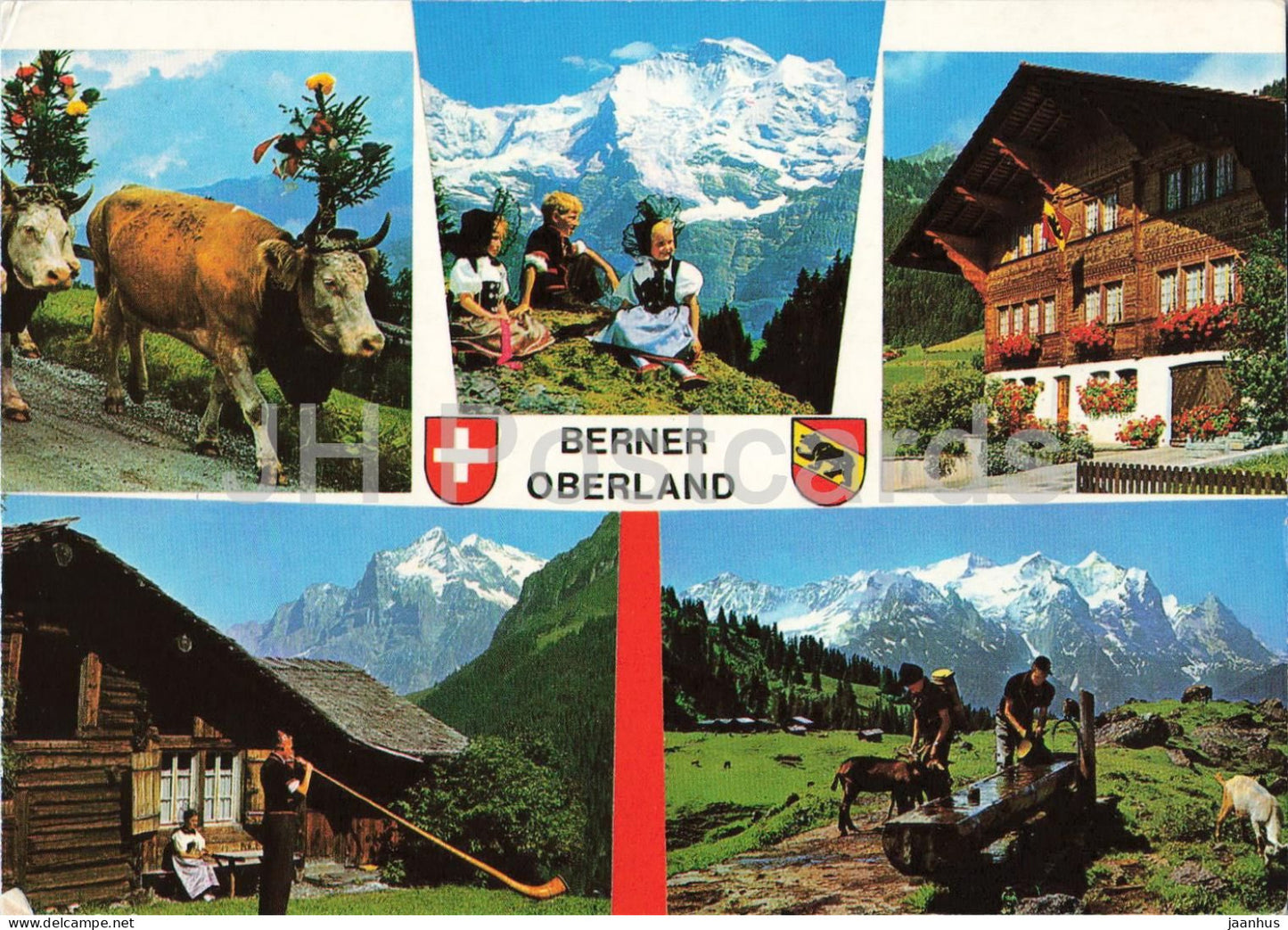 Berner Oberland - folk costumes - chalet - animals - cow - alpine life - multiview - 98901 - Switzerland - used - JH Postcards