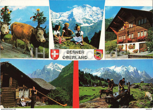 Berner Oberland - folk costumes - chalet - animals - cow - alpine life - multiview - 98901 - Switzerland - used - JH Postcards