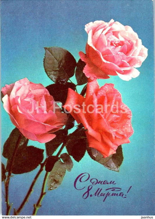 8 March Greeting Card - Pink Roses - postal stationery - AVIA - 1975 - Russia USSR - used - JH Postcards