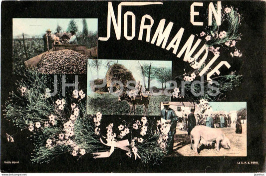 En Normandie - Normandy - agriculture - potatoes - rural life - animals - donkey - pig - old postcard - France - unused - JH Postcards