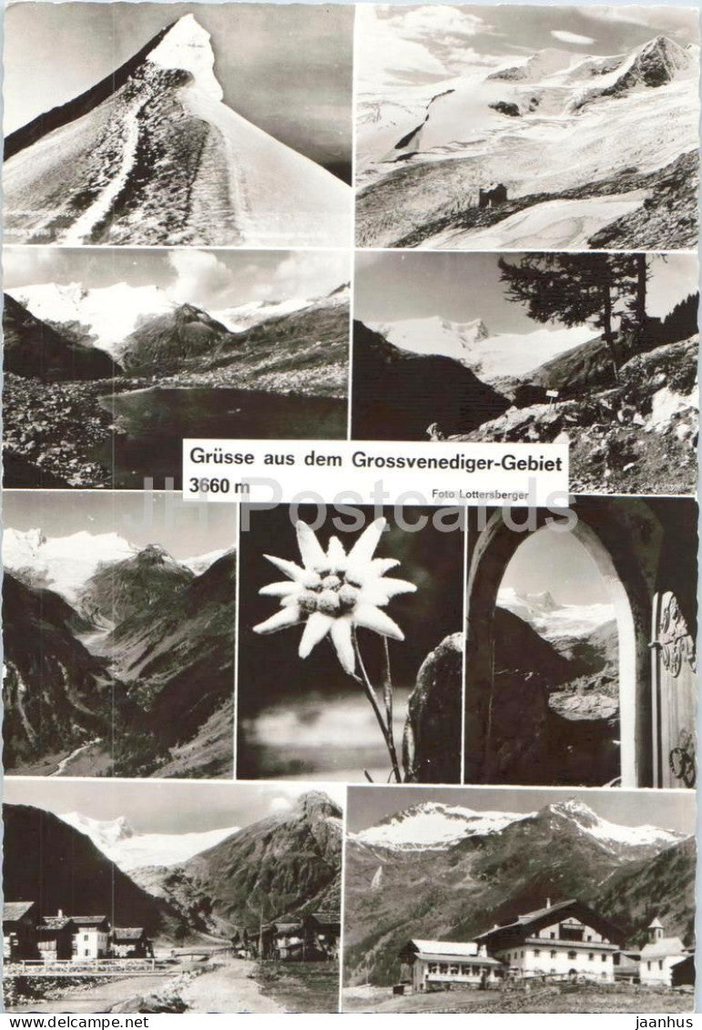 Grusse aus dem Grossvenediger Gebiet 3660 m - mountains - Alps - Edelweiss - multiview - old postcard - Austria - unused - JH Postcards
