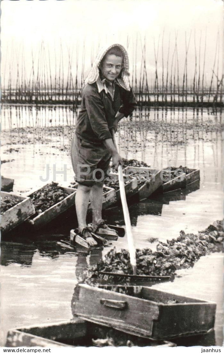 Bassin D' Arcachon - Claouey - Gironde - La Parqueuse - oyster farmer - 1005 - old postcard - France - unused - JH Postcards