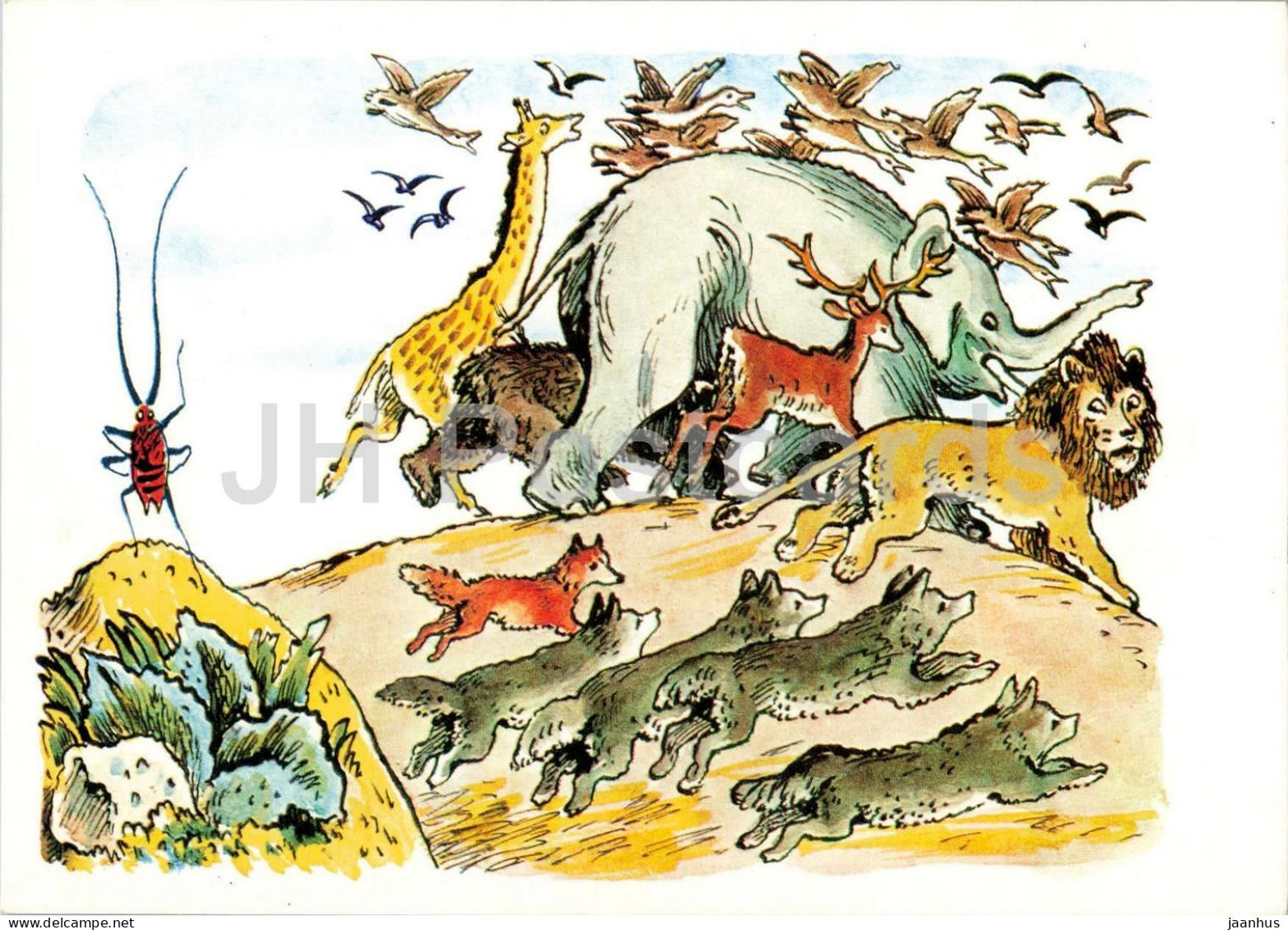 insect - elephant - lion - The Giant Cockroach - Fairy Tale by Chukovsky - illustration - 1969 - Russia USSR - unused - JH Postcards