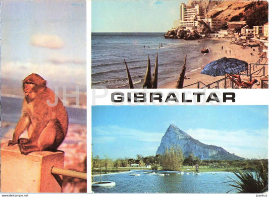 Gibraltar - beach - The Rock - monkey - animals - multiview - R/C 19 - Gibraltar - unused - JH Postcards