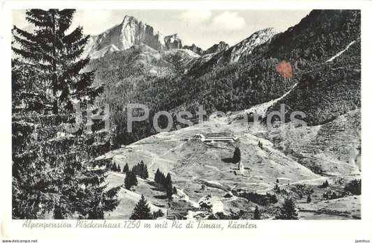 Alpenpension Plockenhaus 1250 m mit Pic di Timau, Karnten - 4853 - old postcard - 1939 - Austria - unused - JH Postcards