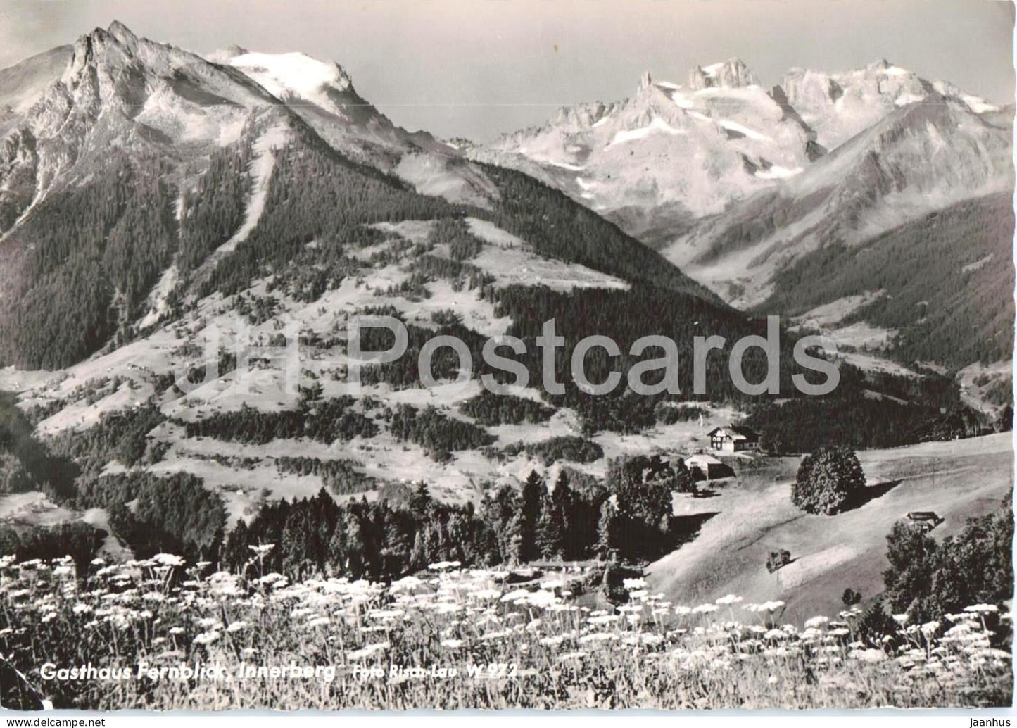 Gasthaus Fernblick - Innerberg - mountain inn - alpine meadow - panorama - 972 - old postcard - Austria - unused - JH Postcards